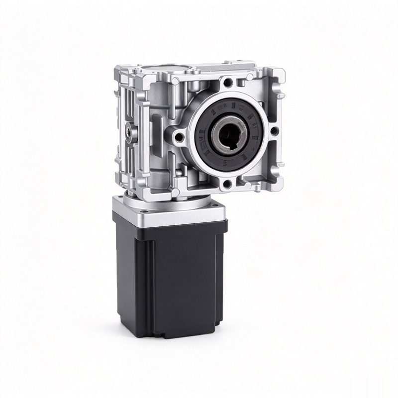 80mm BLDC Worm Gear Motor 12V  - Bldc Planetary Gear Motor 48V High Torque review and price